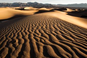 Tips and Tricks for an Unforgettable Desert Safari in Dubai