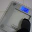 Mastering Your Metrics: How to Interpret Body Weight Scale Readings